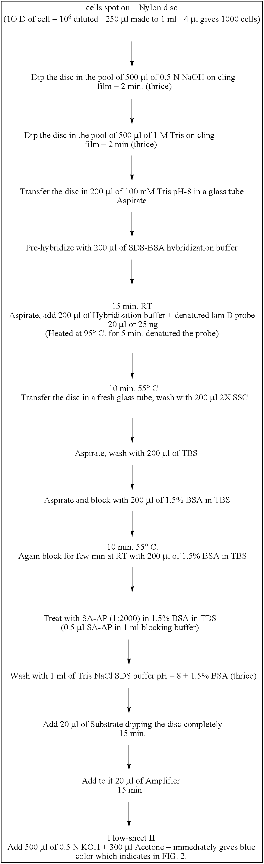 Method for detecting the presence of water born pathogens and indicator microorganism