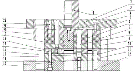 Oil pipe supporting hole punching, side turning and blanking continuous die