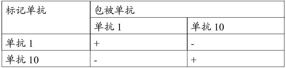 Anti-foot-and-mouth disease (FMD) O-type virus monoclonal antibodies and application thereof