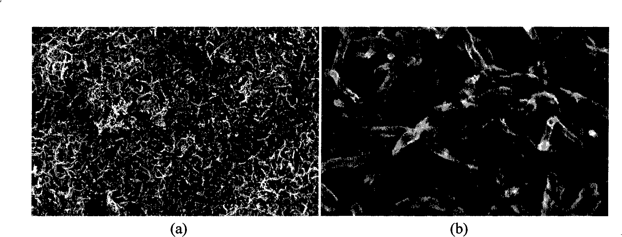 Method for preparing carbon nano-tube/nano-nickel composite film