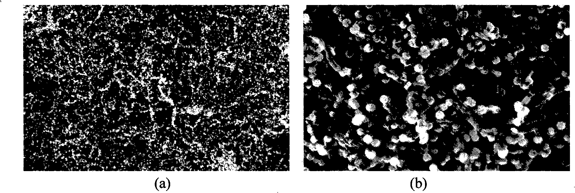 Method for preparing carbon nano-tube/nano-nickel composite film