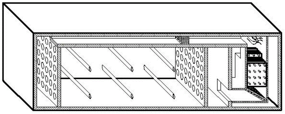 Drying surface parallel air supply type domestic fungus heat pump drying apparatus