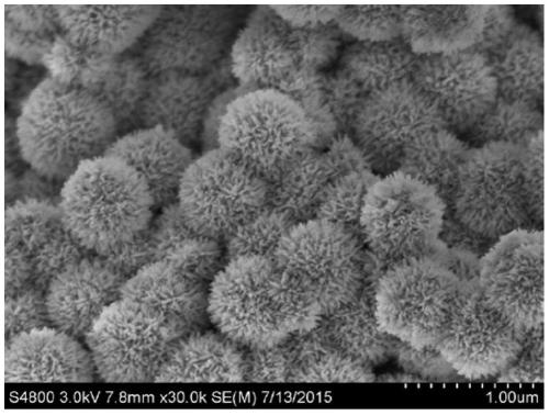 A sea urchin-like three-dimensional fe3o4/sno2 nanorod array and its synthesis method and application