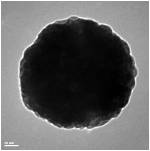 A sea urchin-like three-dimensional fe3o4/sno2 nanorod array and its synthesis method and application