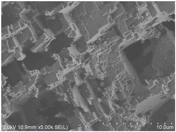 Method for preparing super-amphiphobic aluminum surface