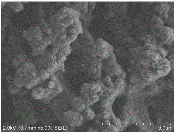 Method for preparing super-amphiphobic aluminum surface