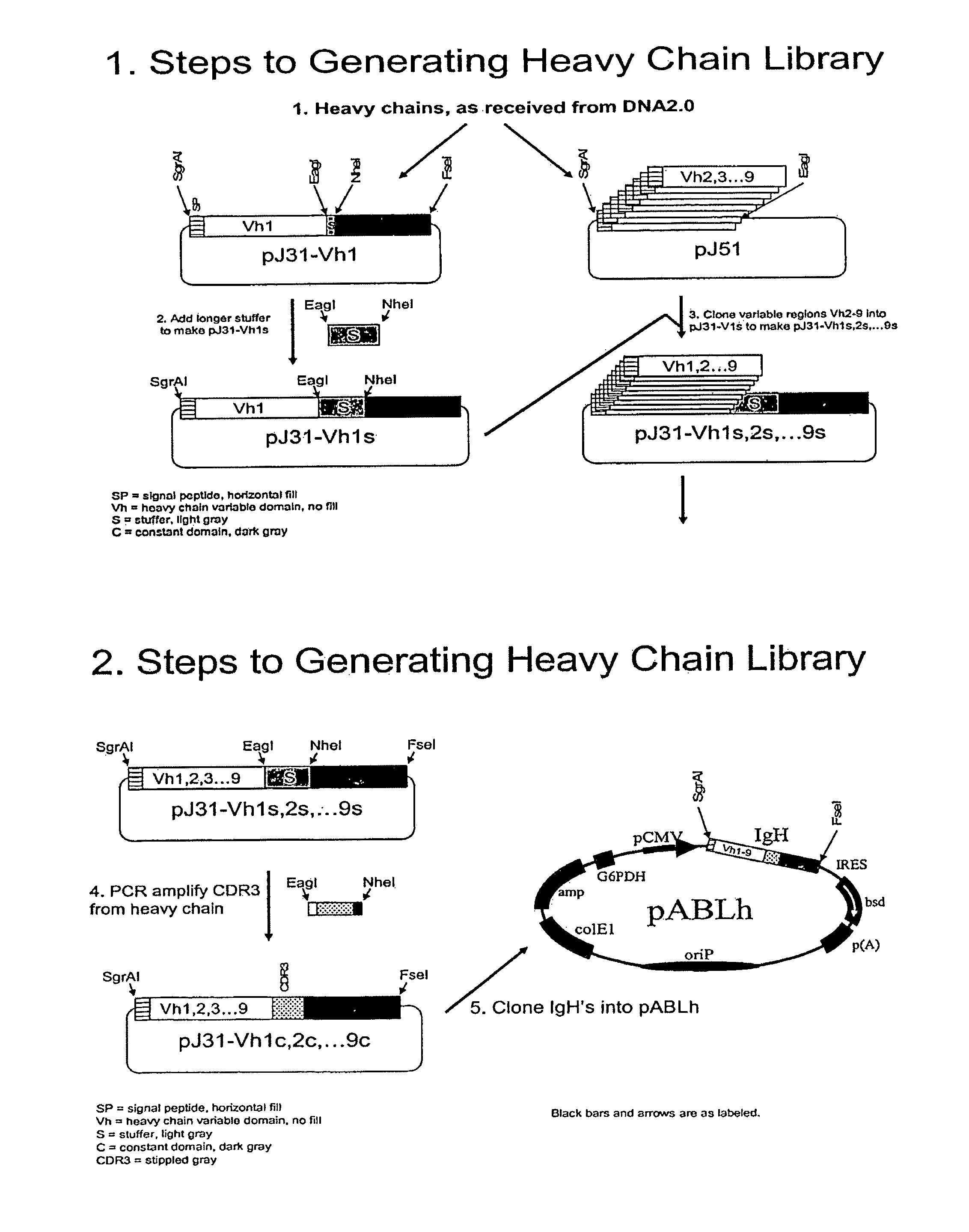 Methods of generating libraries and uses thereof