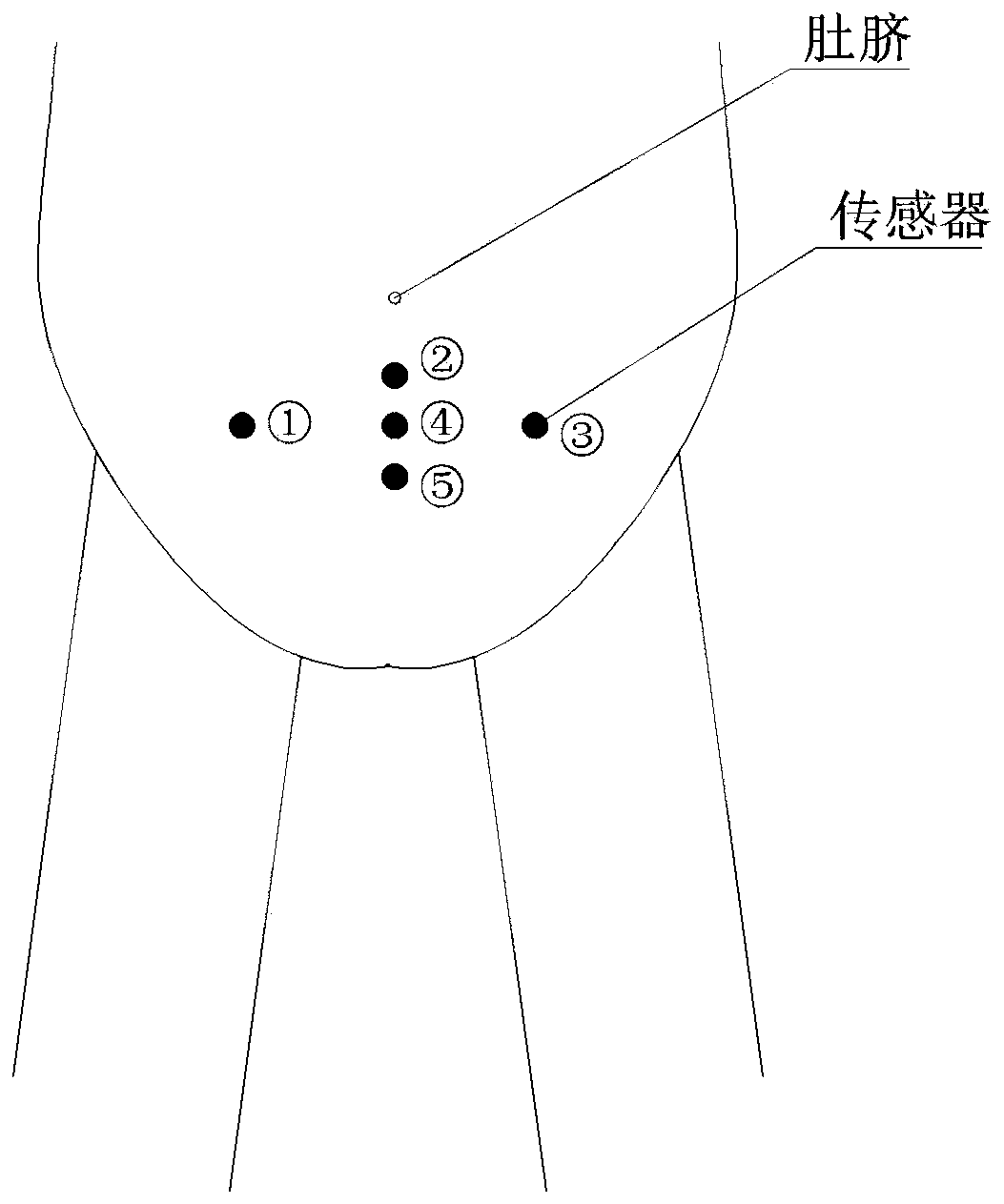 A portable multiple fetal ECG monitor and monitoring method thereof