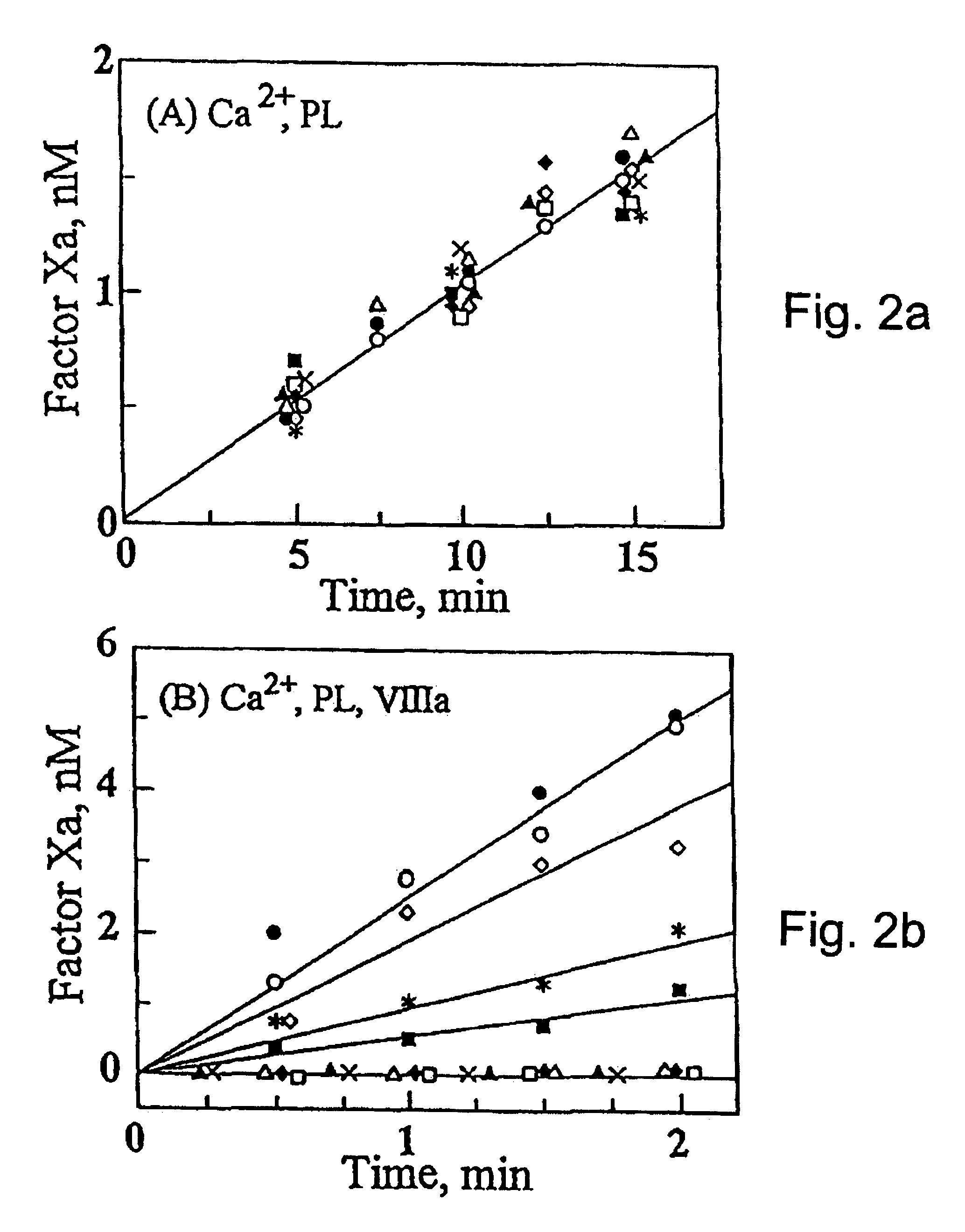 Region of factor IXa protease domain that interacts with factor VIIIa and methods therefor