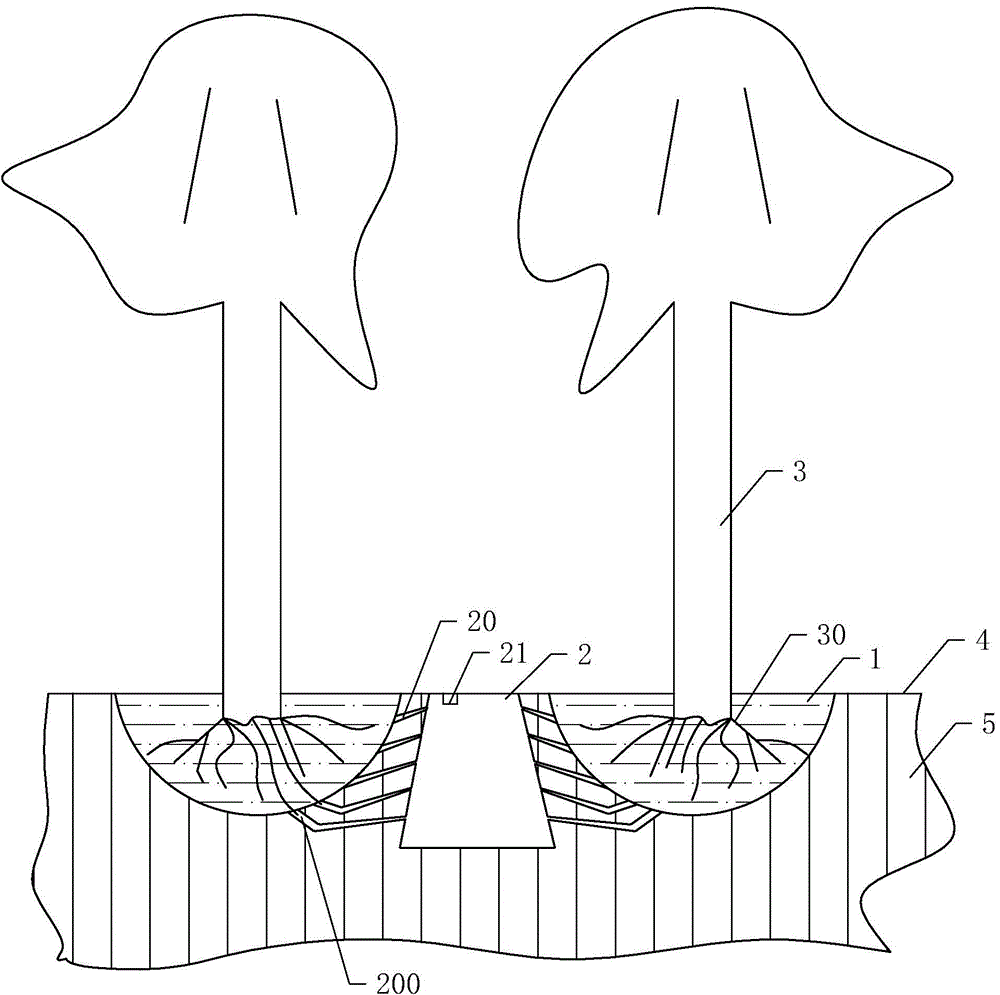 Method for planting nursery stocks in saline-alkali soil