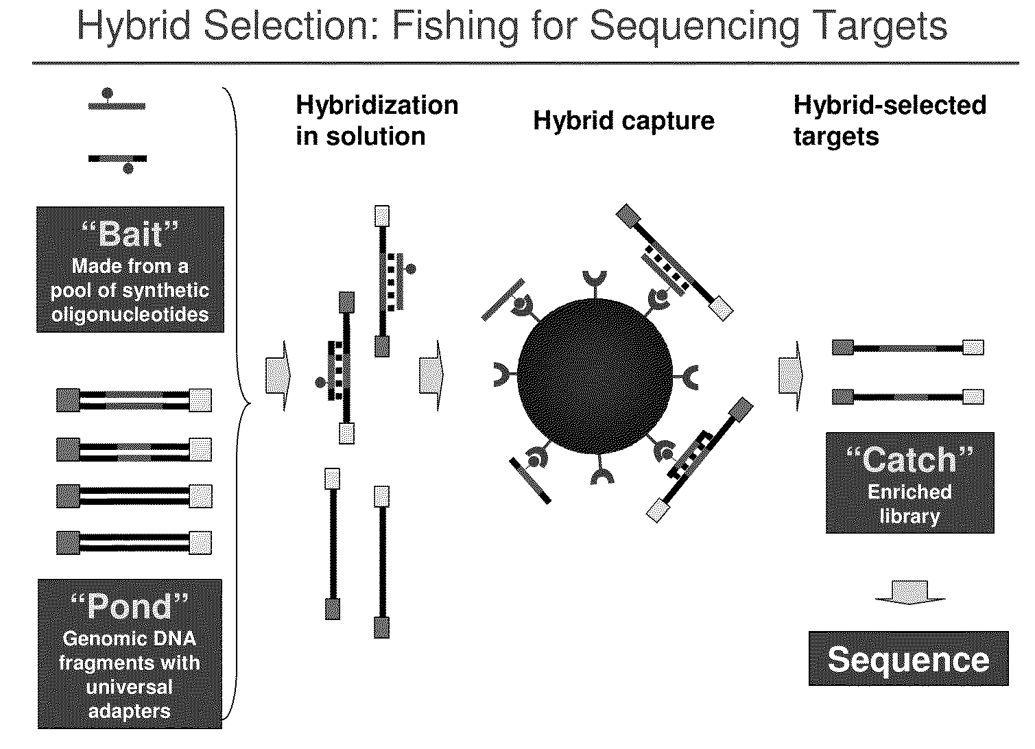 Selection of nucleic acids by solution hybridization to oligonucleotide baits