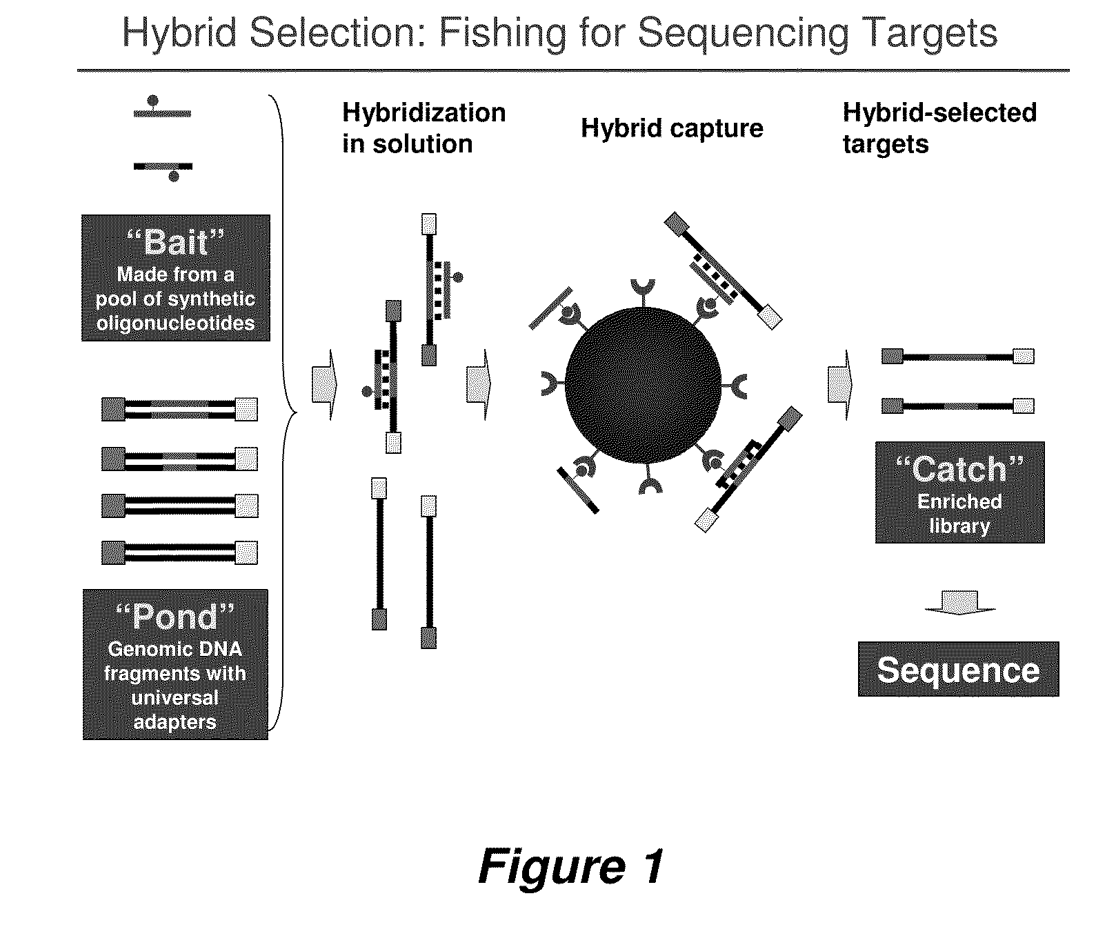 Selection of nucleic acids by solution hybridization to oligonucleotide baits