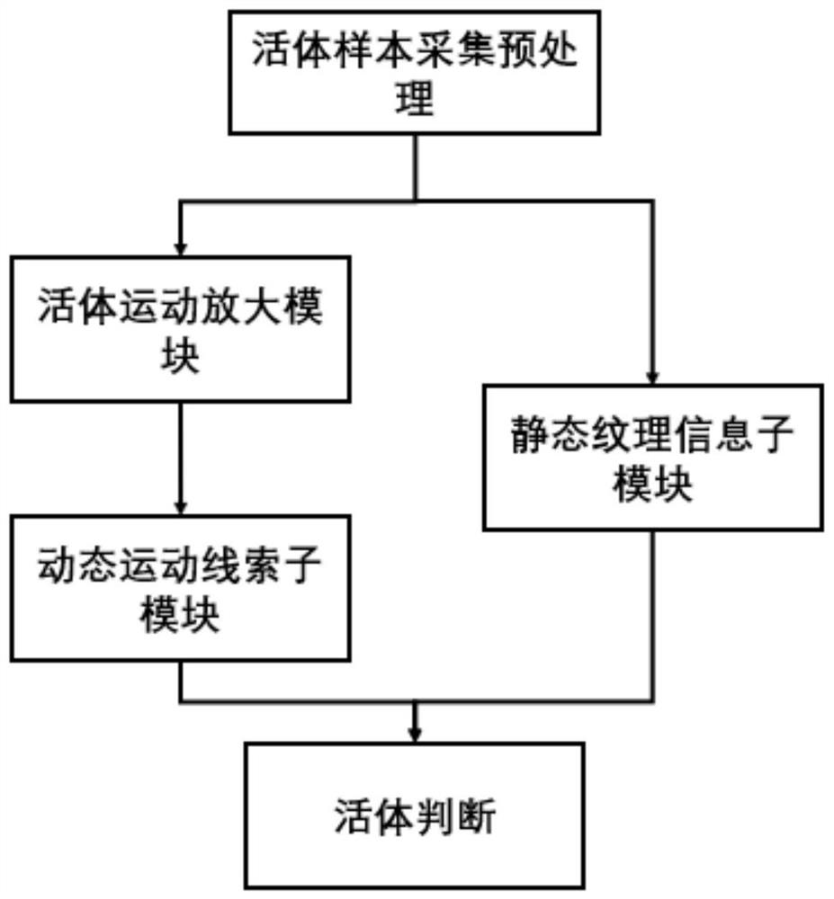 Human face living body detection system applying double-branch three-dimensional convolution model, terminal and storage medium