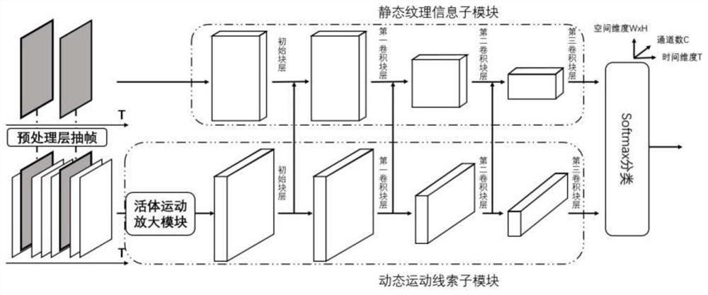 Human face living body detection system applying double-branch three-dimensional convolution model, terminal and storage medium