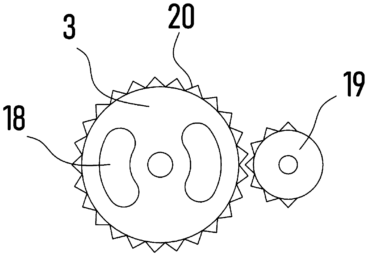 Rapeseed screening and impurity removal device for production of rapeseed oil