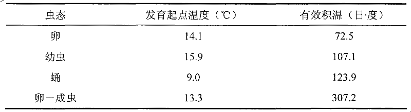 Method for preserving ophraella communa in winter and raising ophraella communa in plastic tent