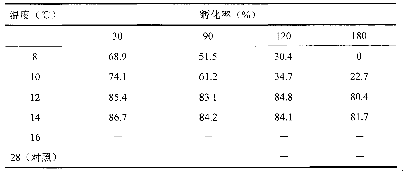 Method for preserving ophraella communa in winter and raising ophraella communa in plastic tent