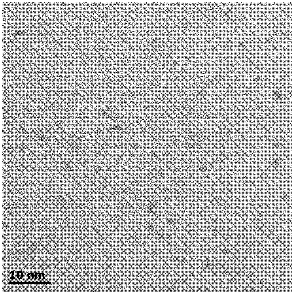 Fluorescent silver nanocluster as well as preparation method and application thereof