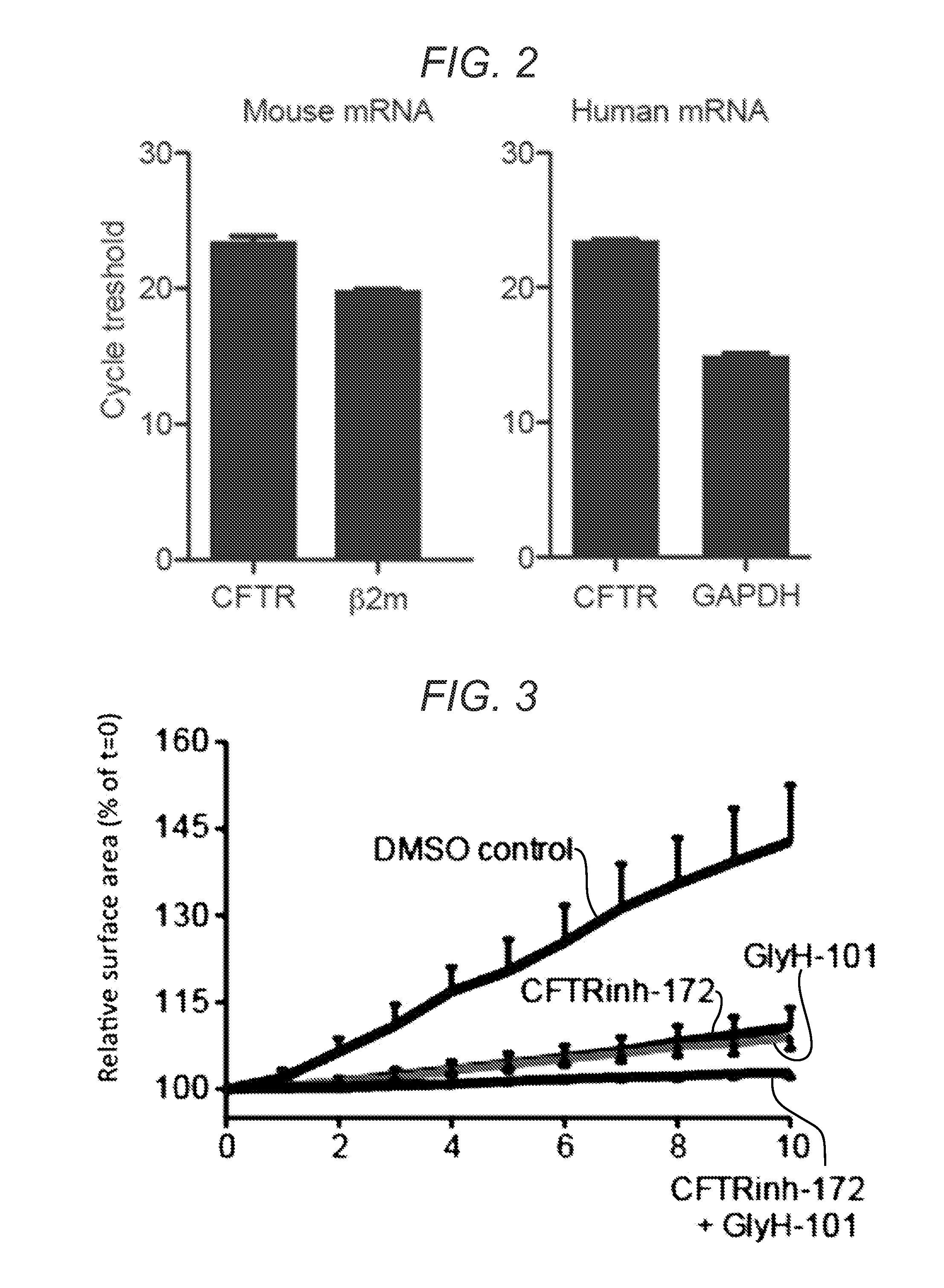 A rapid quantitative assay to measure cftr function in a primary intestinal culture model