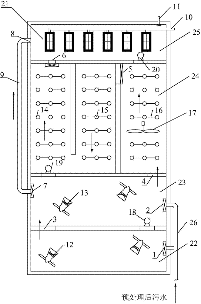 A2O(anaerobic-anoxic-oxic)-MBR (membrane bioreactor) sewage treatment device and method