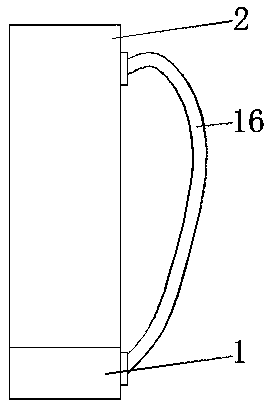 Spraying device for planting Chinese herbal medicine