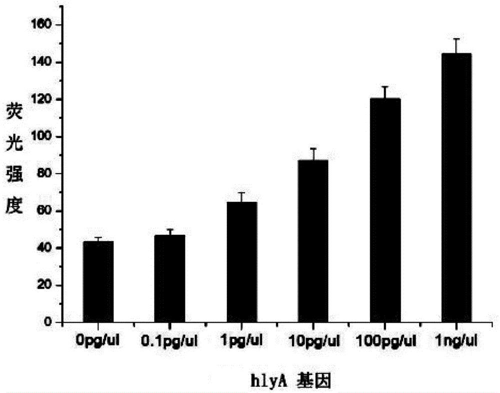 Multi-gene detection method of Listeria monocytogenes based on quantum dot/graphene oxide nanometer platform