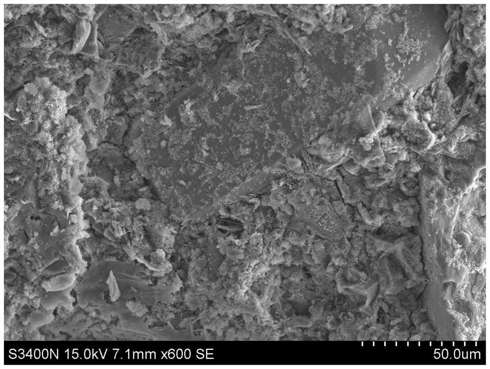 Anti-cracking and heat-insulating regenerated rubber mortar and preparation method thereof