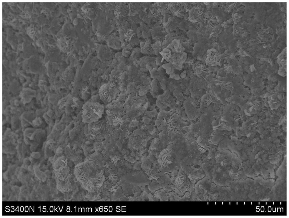 Anti-cracking and heat-insulating regenerated rubber mortar and preparation method thereof