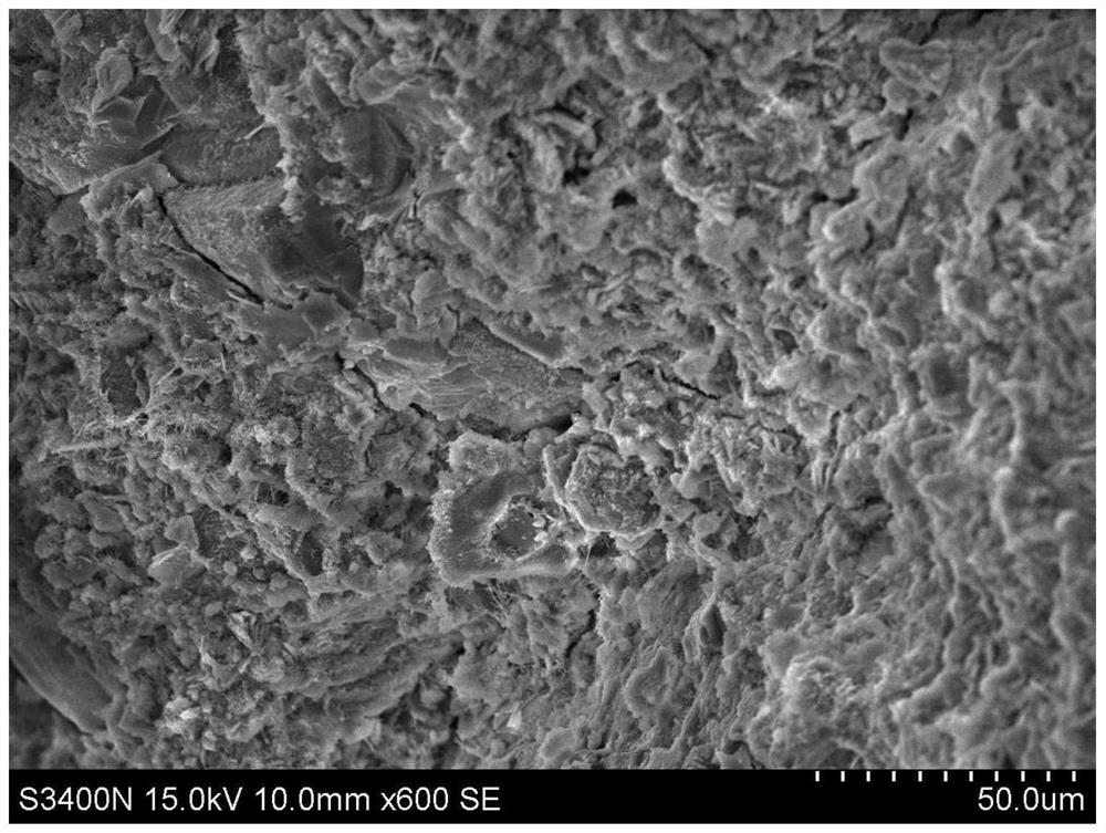 Anti-cracking and heat-insulating regenerated rubber mortar and preparation method thereof