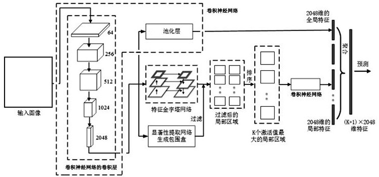 Fine-grained image classification method based on feature pyramid and global average pooling