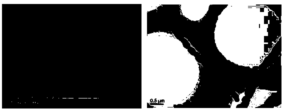 Preparation method of high-dielectric polyimide/calcium copper titanate nanowire composite material