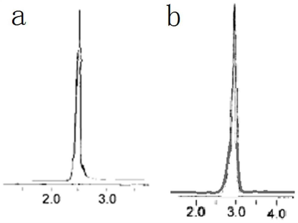 PEGylated dendrimer drug carrier and preparation method thereof