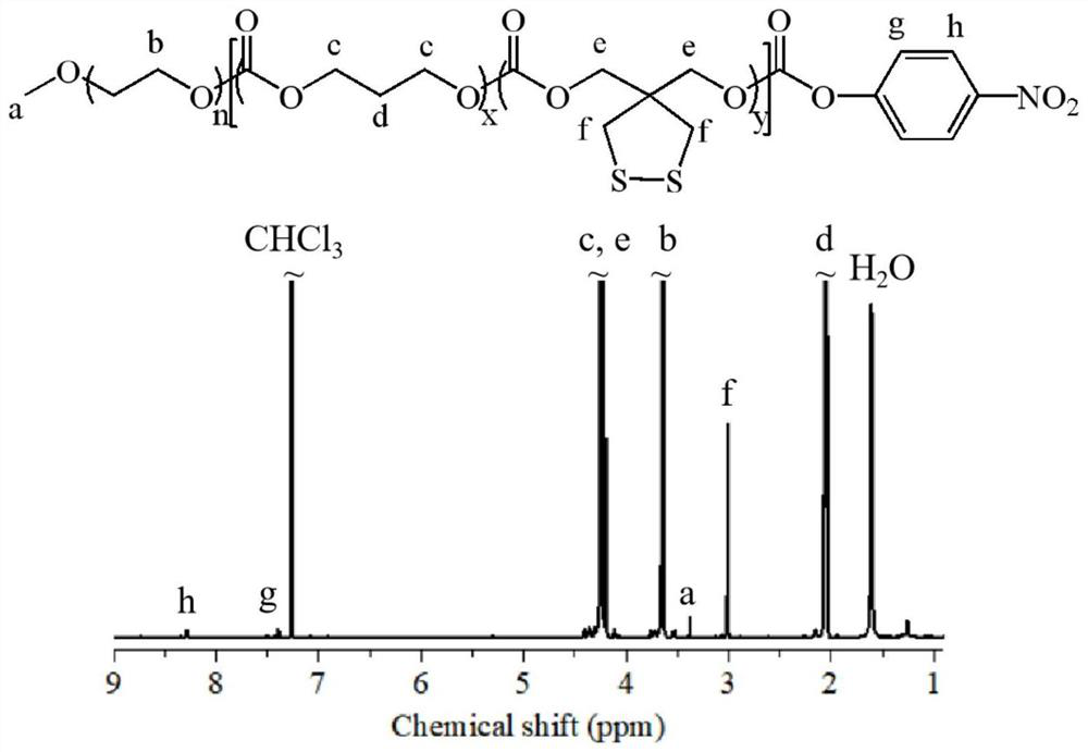 Application of micromolecule drug-loaded polymer vesicle in preparation of drug for treating acute lymphocytic leukemia