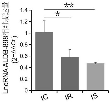 A lncRNA ALDB-898 associated with piglet bacterial diarrhea and its application