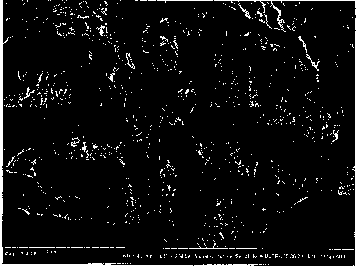 Ultraviolet-ray-excited SrMgAl10O17:Eu&lt;2+&gt;,Mn&lt;2+&gt; blue-green fluorescent powder