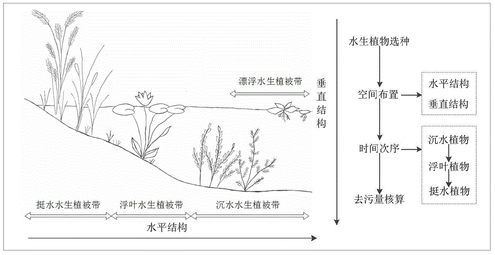 A construction method of artificial lake ecosystem