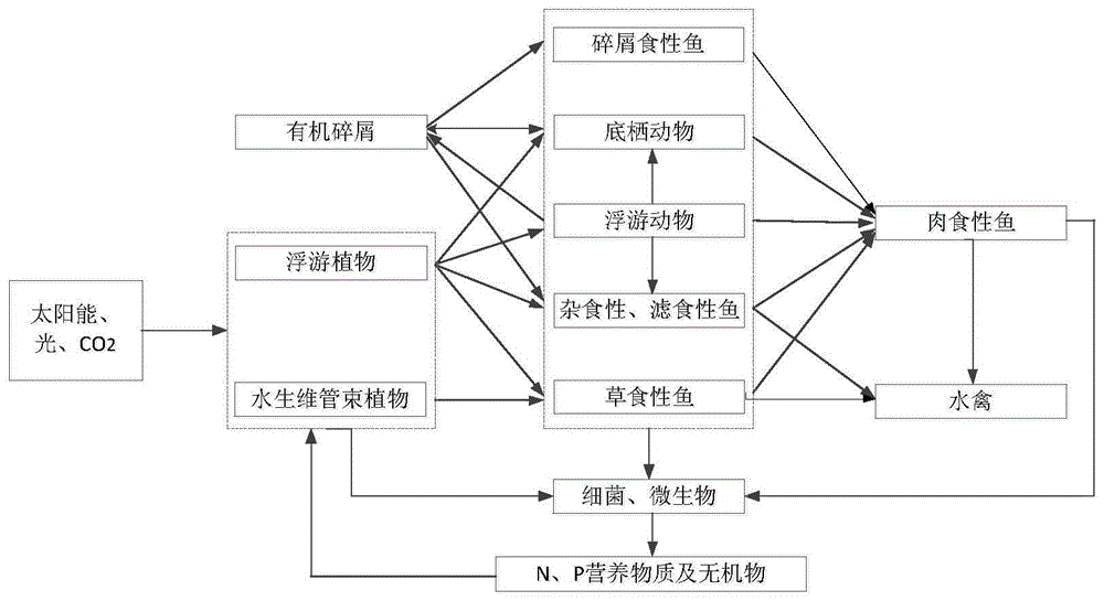 A construction method of artificial lake ecosystem