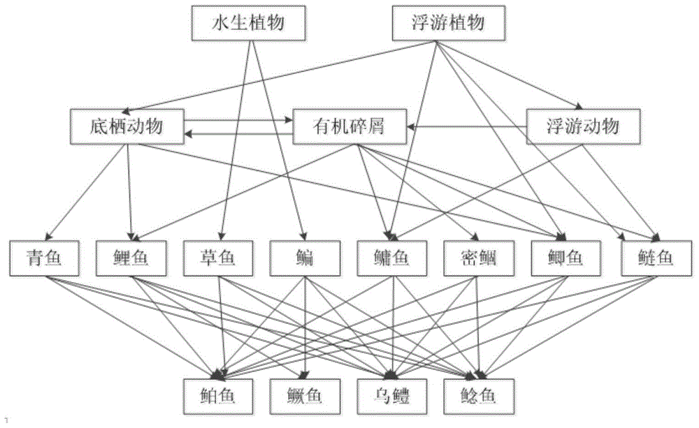 A construction method of artificial lake ecosystem