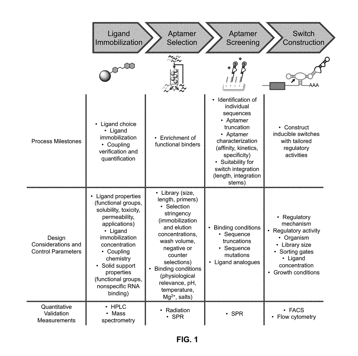 Compositions and methods for regulation of gene expression with, and detection of, folinic acid and folates