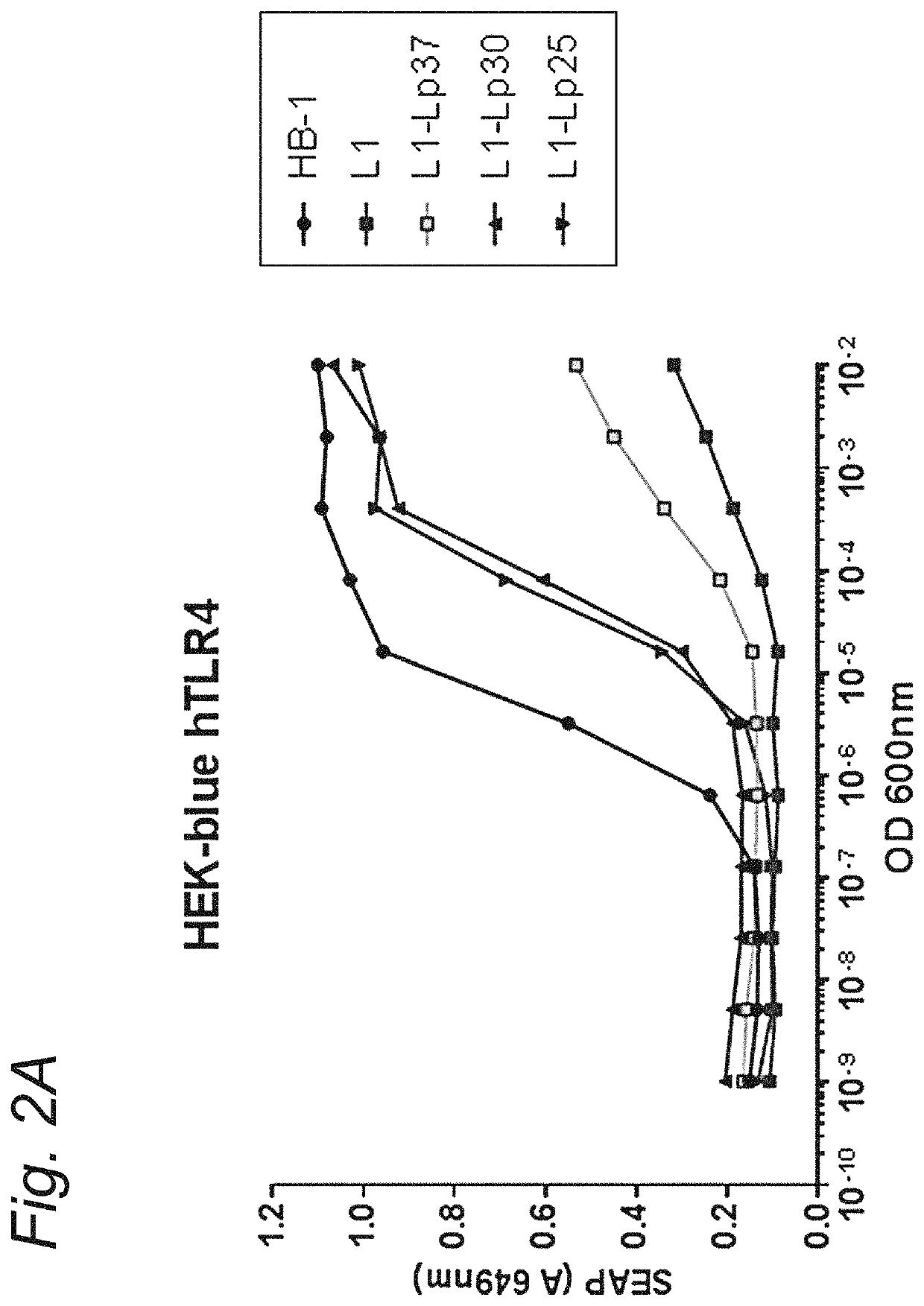 Modified hexa-acylated neisserial LPS