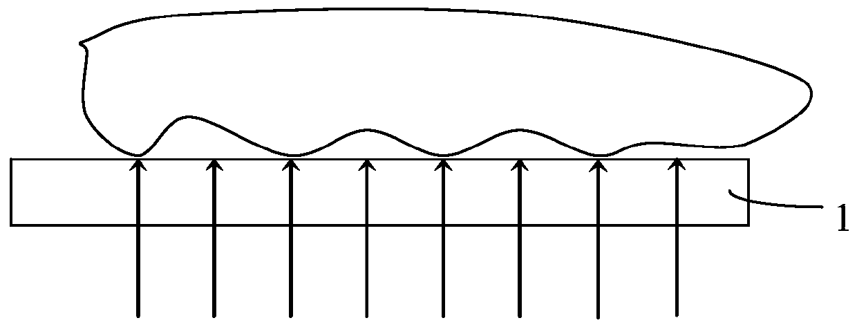 Area fingerprint sensor