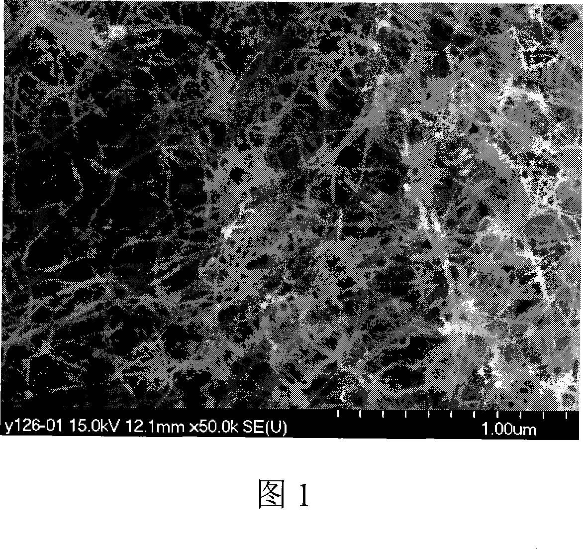 Method for preparing one dimension SiC Nano fiber