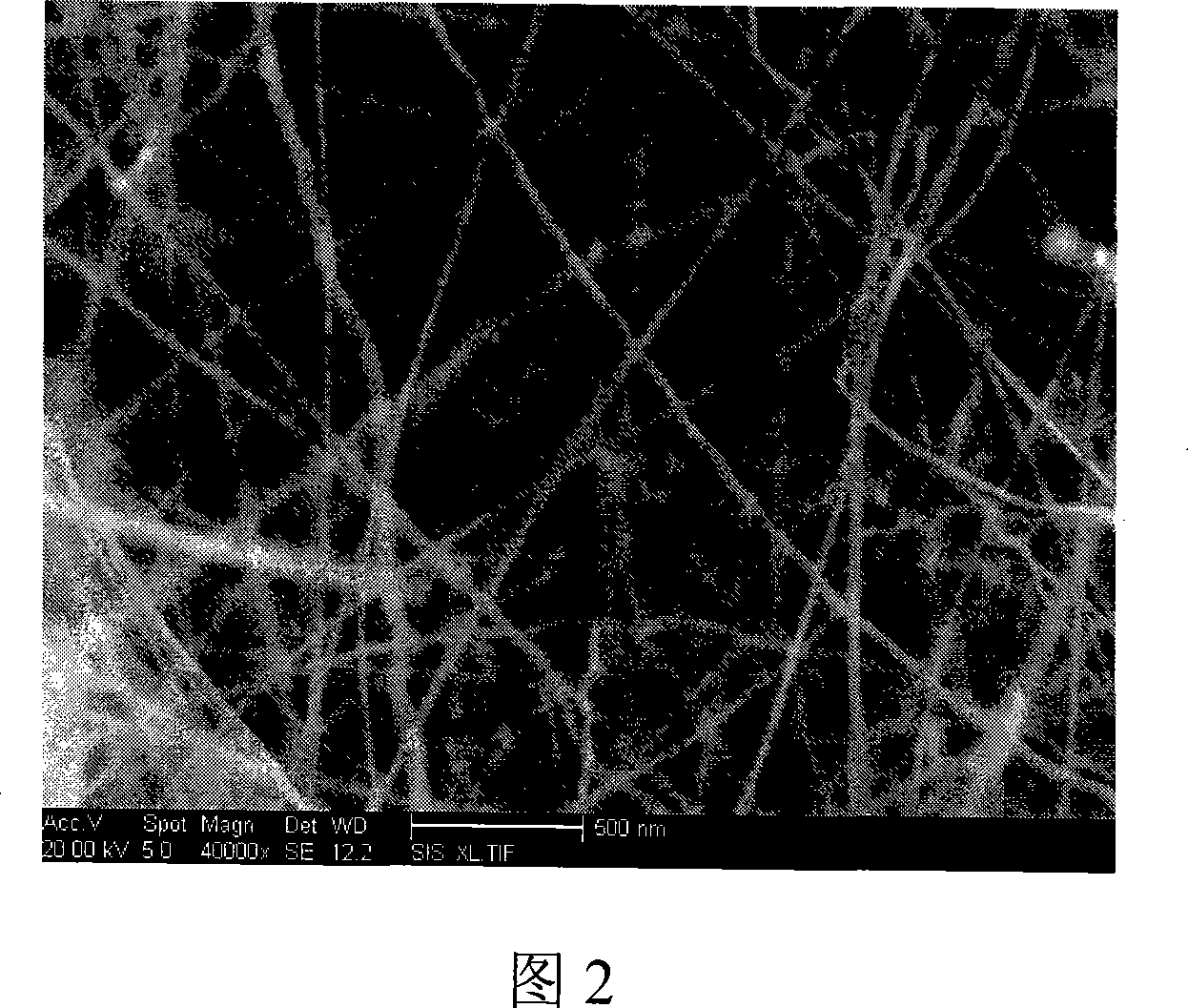 Method for preparing one dimension SiC Nano fiber