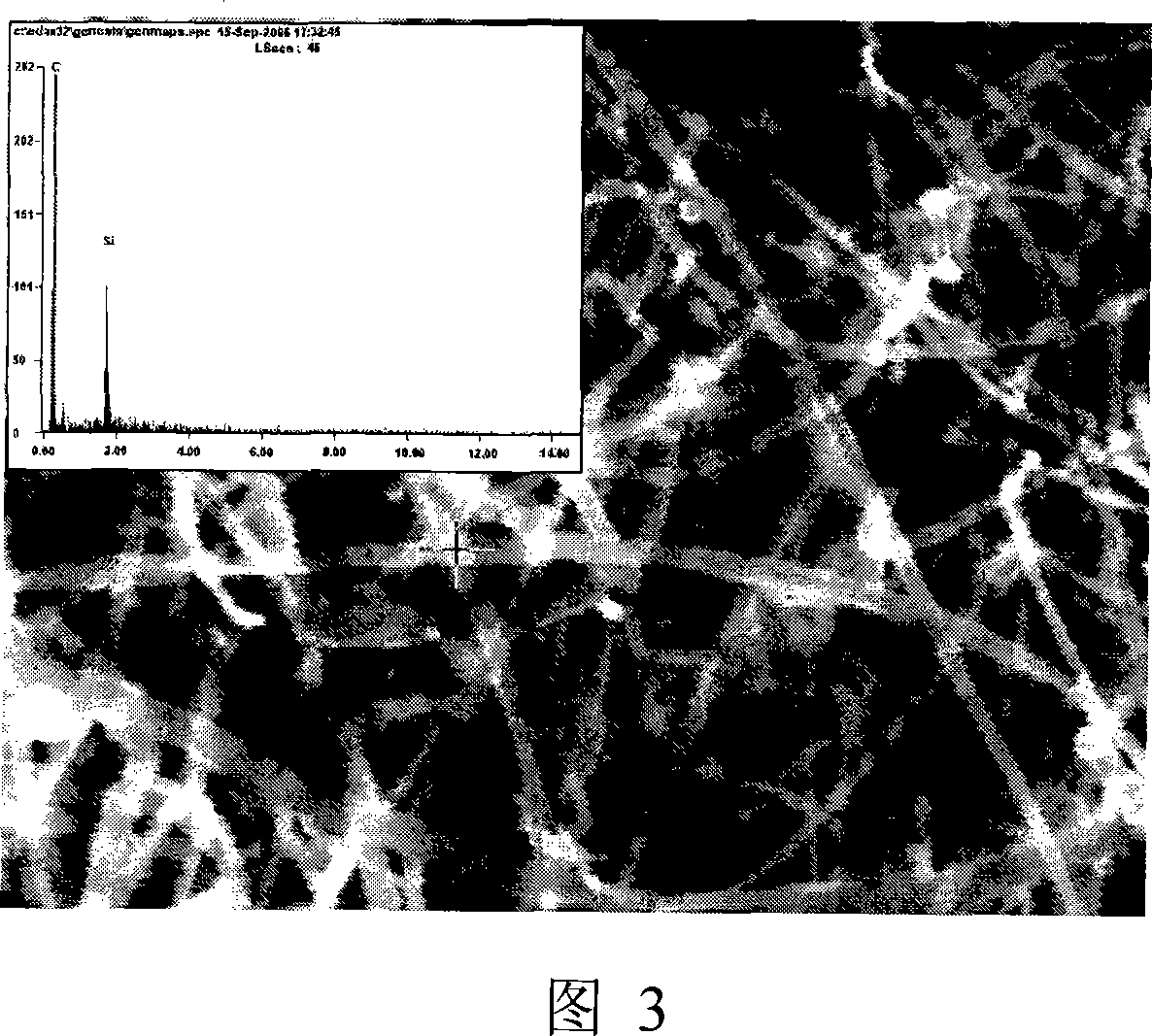 Method for preparing one dimension SiC Nano fiber