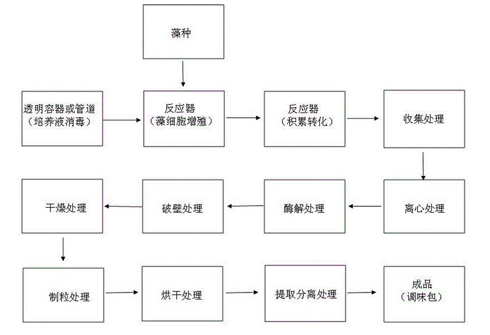 Method for cultivating haematococcus pluvialis in large scale and producing natural astaxanthin seasoning packet by haematococcus pluvialis