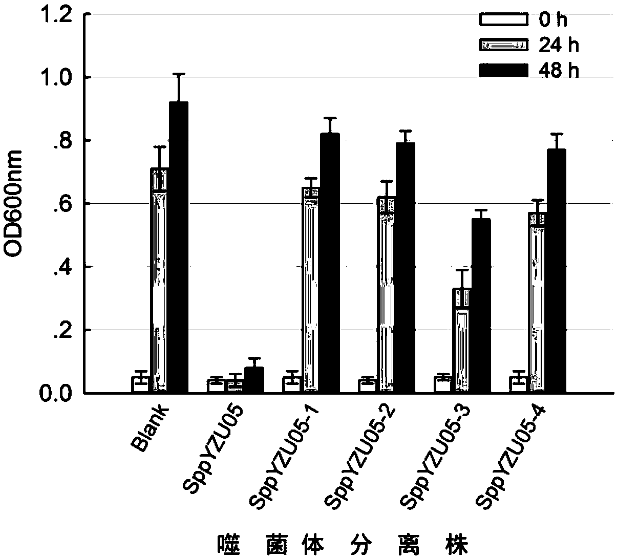 Shewanella putrefaciens phage and application thereof