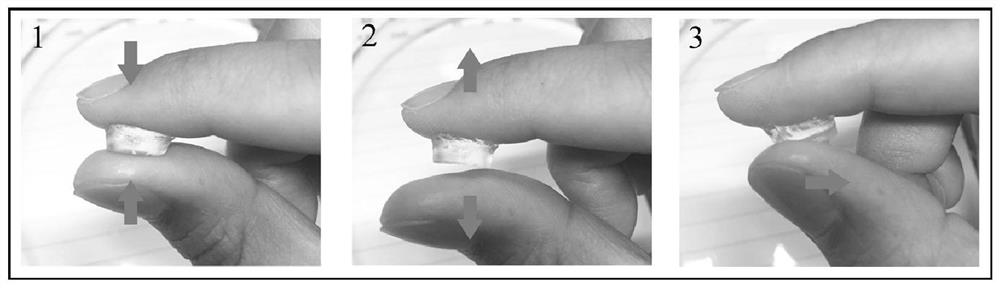 Adhesive-non-adhesive integrated hydrogel as well as preparation method and application thereof in wound repair