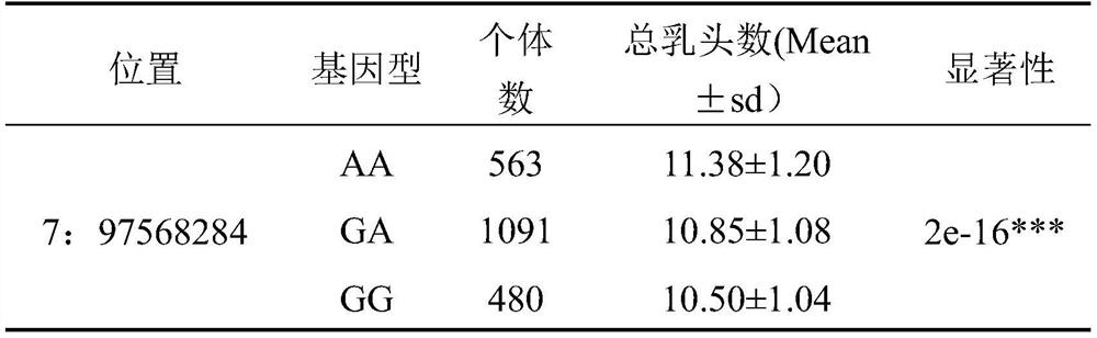 The SNP molecular marker and its application on the pig chromosome 7 related to the total number of teats