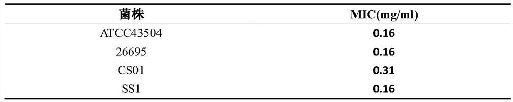 Traditional Chinese medicine composition for inhibiting helicobacter pylori and preparation method thereof