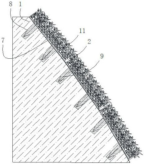 Rock slope greening method